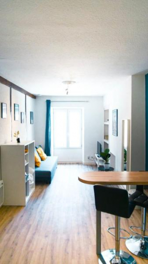 Le Tourangeau - Grand studio cosy en hypercentre